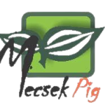 mecsekpig